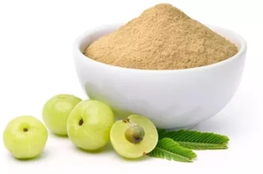 Herbstore Amla Ινδικό Φραγκοστάφυλλο σε Σκόνη Bio 250gr
