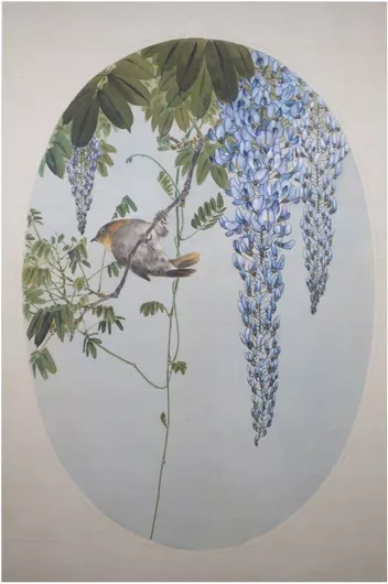 Πίνακας Japanese Robin in Wisteria by Watanabe Seitei (Watanabe Shotei), Tokyo National Museum 40x65cm