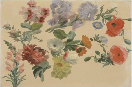 Πίνακας Studies of Summer Flowers (ca. 1848) by Jacques–Laurent Agasse 120x80cm