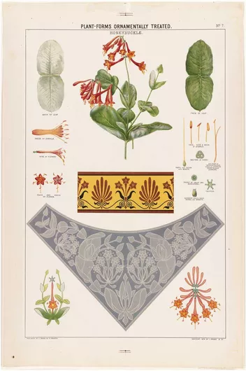 Πίνακας Plant-forms ornamentally treated - honeysuckle 100x150cm