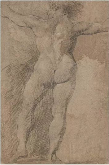 Πίνακας Male with Arms Spread Wide Seen from Behind 115x170cm