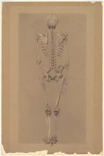 Πίνακας Rear View of a Skeleton (1848) by Daniel Huntington 115x170cm