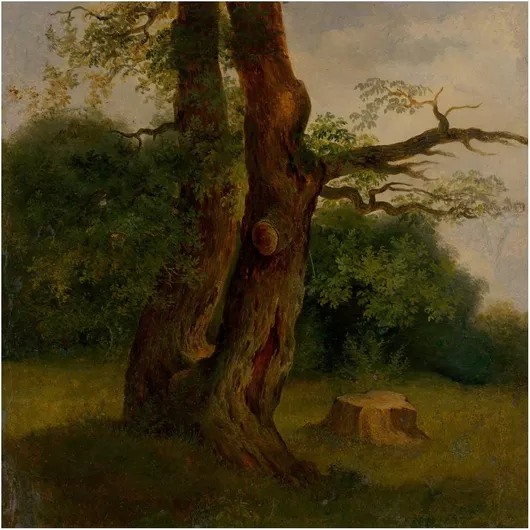 Πίνακας Study of a leafy tree, Jozef Bozetech Klemens 110x110cm