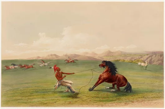 Πίνακας Catching the Wild Horse (1844) by George Catlin 40x30cm