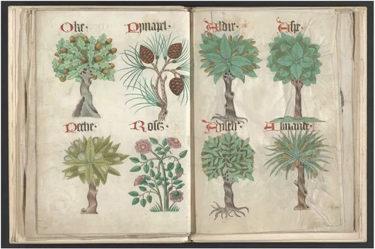 Πίνακας Helmingham herbal and bestiary (1500) 30x20cm