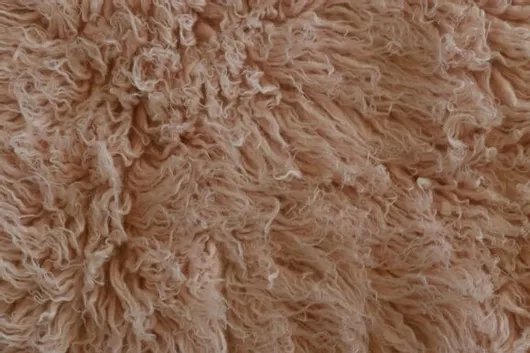 Χαλί Σαλονιού Beauty Home Mekka Flokati 002 Shaggy Μάλλινο 90x60cm Καφέ