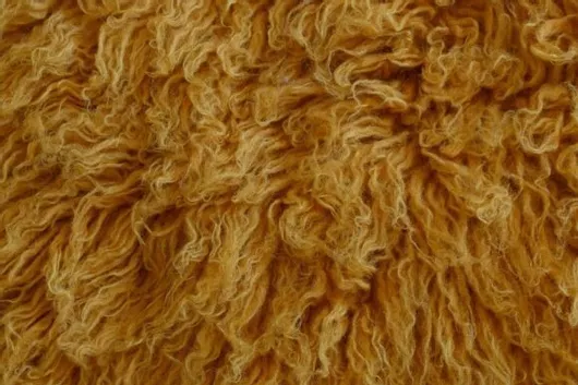 Χαλί Σαλονιού Beauty Home Mekka Flokati 009 Shaggy Μάλλινο 150x90cm Πορτοκαλί