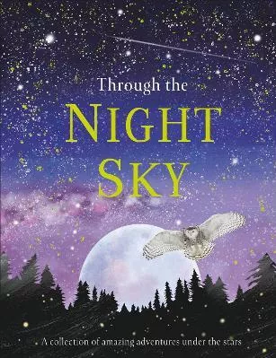 Through the Night Sky: A collection of amazing adventures under the stars DK DK Children Hardback