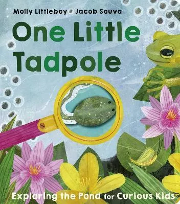 One Little Tadpole Molly Littleboy Little Tiger Press