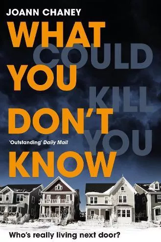 What You Don't Know JoAnn Chaney Pan Books 2018 Paperback / softback