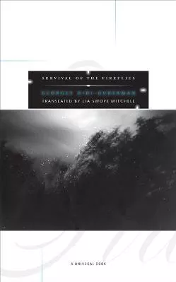 Survival of the Fireflies Georges Didi-Huberman University of Minnesota Press Paperback / softback