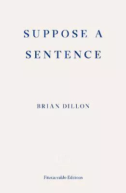 Suppose a Sentence Brian Dillon Fitzcarraldo Editions Paperback / softback