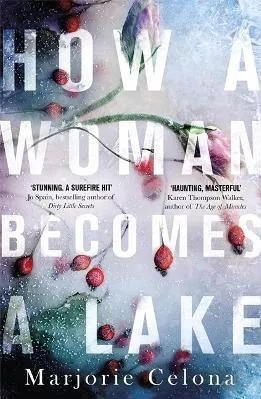 How a Woman Becomes a Lake Marjorie Celona Virago Press Ltd 2020 Hardback