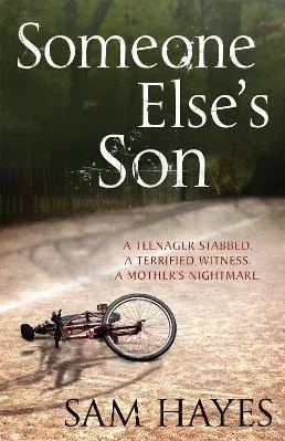 Someone Else's Son: A page-turning psychological thriller with a breathtaking twist Samantha Hayes Headline Book Publishing 2011 Paperback / softback