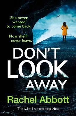 Don't Look Away: the pulse-pounding thriller from the queen of the page turner Rachel Abbott Wildfire 0803