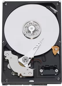 HDD Σκληρός Δίσκος Western Digital Caviar Blue 320GB 3.5" SATA II 7200rpm 16MB για Desktop