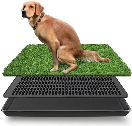 Εκπαιδευτική Τουαλέτα Σκύλου 50x40x2.5cm