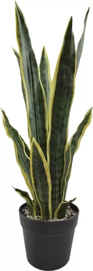 Τεχνητό Φυτό InTheBox 028598 Sansiveria 60 σε Γλάστρα 57cm Πρασινο 