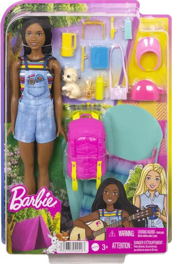 Κούκλα Barbie Mattel Family Camping Brooklyn για 3+ Ετών