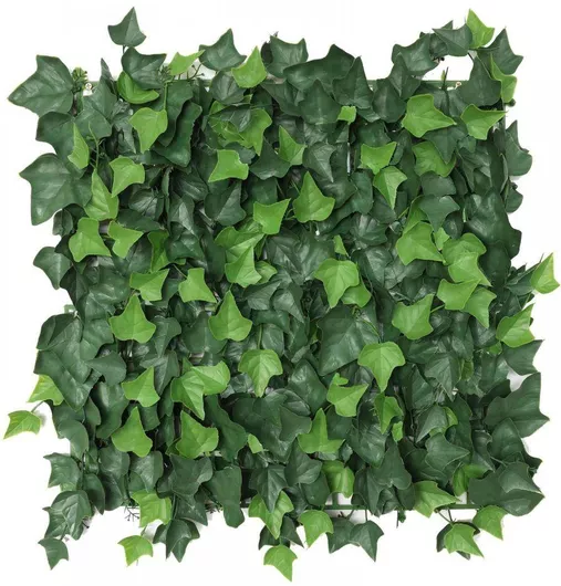 Συνθετική Φυλλωσιά Supergreens Azorica Πάνελ 50x50cm Κισσός Πράσινο
