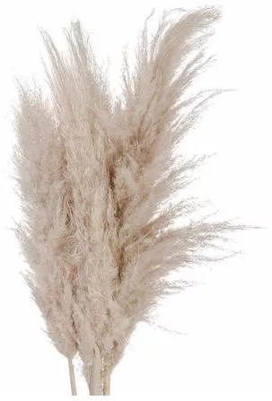 Τεχνητό Φυτό Pampas Grass 80cm