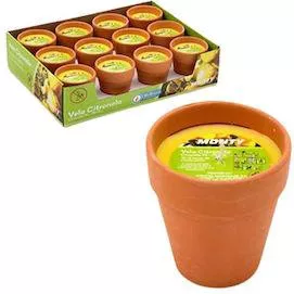 Κεριά Juinsa 7568392 Σετ 12τμχ 8x9cm Πορτοκαλί