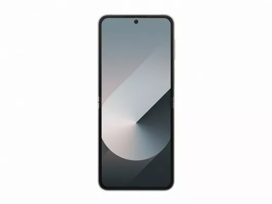 Samsung Galaxy Z Flip6 5G 12GB 256GB Ασημί