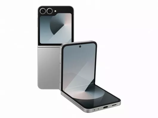Samsung Galaxy Z Flip6 5G 12GB 256GB Ασημί