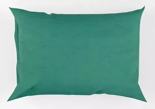 Σετ Μαξιλαροθήκες Family Enterprise 2τμχ Βαμβακερή 50x70cm Πράσινο