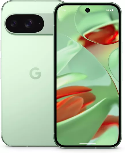Google Pixel 9 5G 12GB 256GB Wintergreen