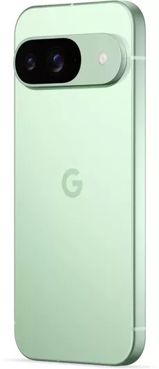 Google Pixel 9 5G 12GB 256GB Wintergreen