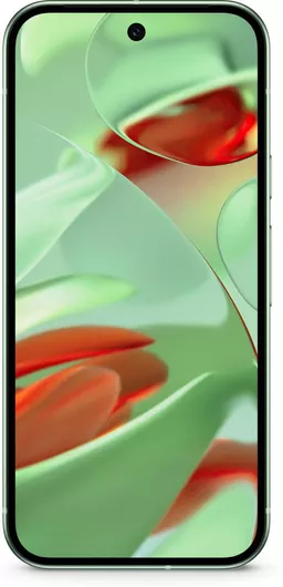 Google Pixel 9 5G 12GB 256GB Wintergreen