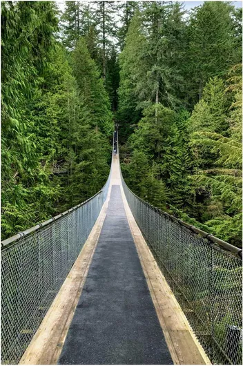 Πίνακας Suspension Bridge in Forest Κρεμαστή γέφυρα στο δάσος 60x90cm