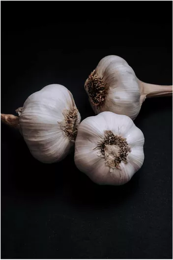 Πίνακας Garlic Close-Up Γκρο πλαν Σκόρδο 100x150cm