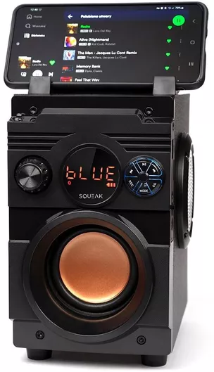 Squeak SQ1001 Ηχείο Bluetooth 20W με Ραδιόφωνο Μαύρο