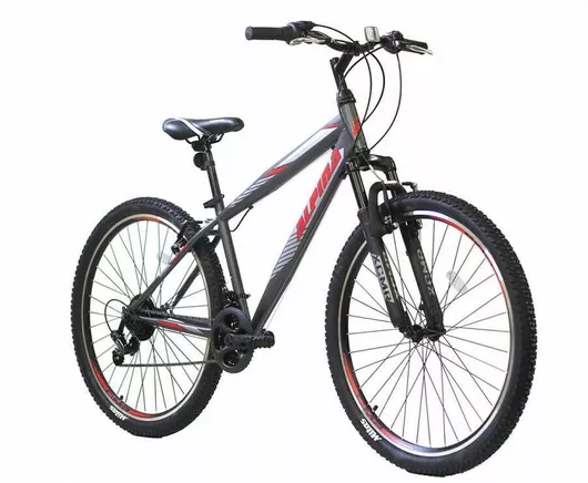 Παιδικό Mountain Bike Alpina Alpha 24" 21 Ταχυτήτων 2022 Γκρι
