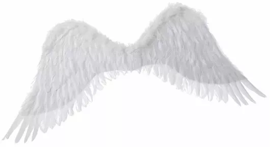 Αποκριάτικο Αξεσουάρ Φτερά για Άγγελο 94x29cm Λευκό