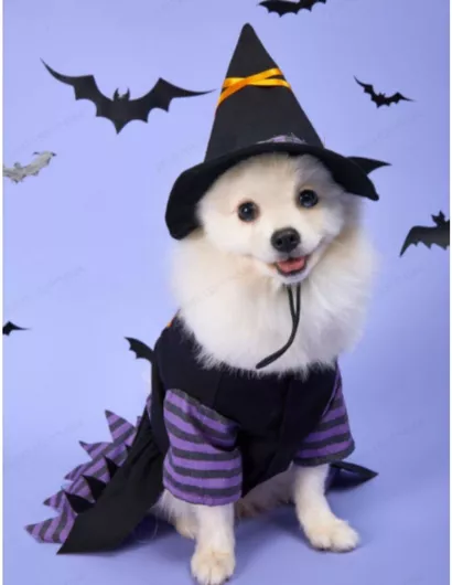 Αποκριάτικη Στολή Σκύλου Γάτας Μαγισσούλα Halloween 28cm Μοβ