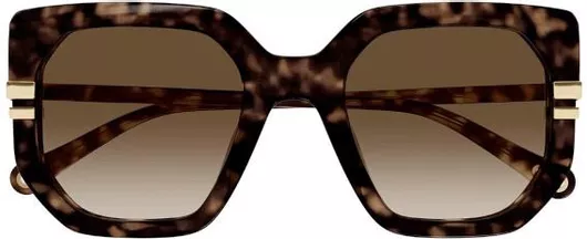 Γυναικεία Γυαλιά Ηλίου Chloe με Κοκκάλινο Σκελετό Καφέ