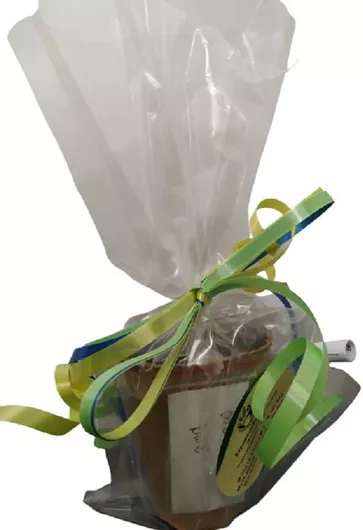 Μικροδωράκι Βιοδιασπώμενο Γλαστράκι 9x7cm, έτοιμο για σπορά με φυτόχωμα & σπόρο Βασιλικό