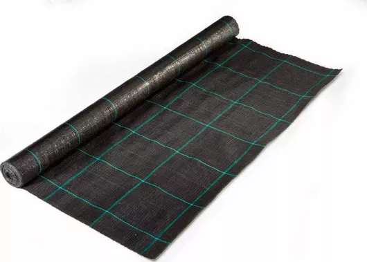Ύφασμα Εδαφοκάλυψης Viopsec 123017 100gr/m² 2x100m