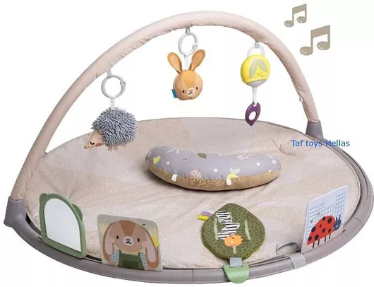 Γυμναστήριο Δραστηριοτήτων Taf Toys με Μουσική για 0+ Μηνών  87x87x87cm