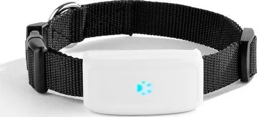 Ηλεκτρικό Κολάρο Mini GPS Tracker TK911 GPS Σκύλου
