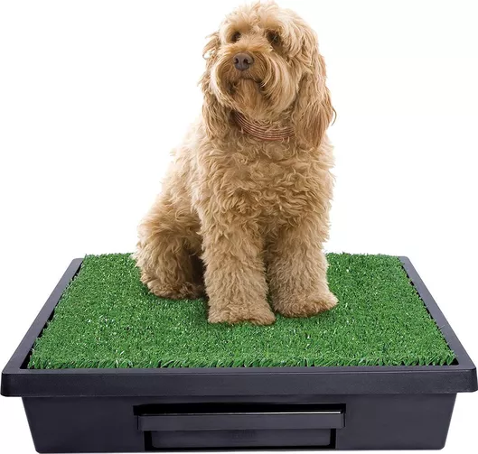 PetSafe Pet Loo - Τουαλέτα για Σκύλους με Γρασίδι 63x63cm