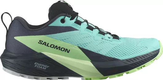 Salomon Sense Ride 5 GTX Trail Running Αδιάβροχα με Μεμβράνη Gore-Tex Blue Radiance / Green Ash / India Ink
