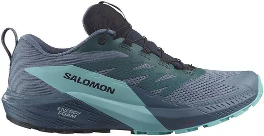 Salomon Sense Ride 5 GTX Trail Running Αδιάβροχα με Μεμβράνη Gore-Tex Carbon / Blue Radiance / China Blue