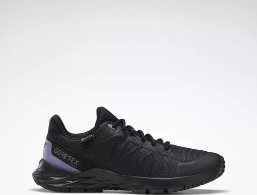 Αθλητικά Παπούτσια Reebok Astroride Trail GTX 2.0 Trail Running Αδιάβροχα με Μεμβράνη Gore-Tex Core Black / Spacer Grey