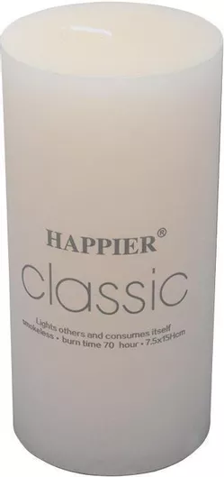 Fylliana Διακοσμητικό Κερί σε Βάζο