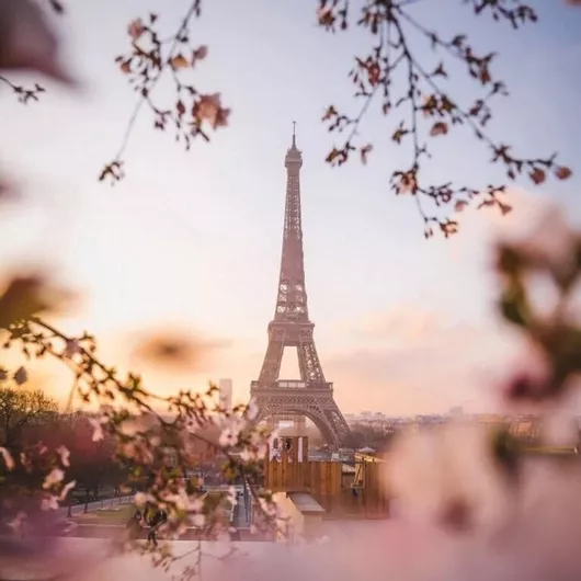 Κερί σόγιας – C'est la vie 212ml