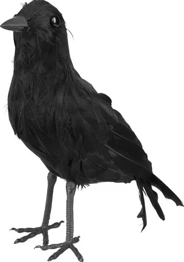 Αποκριάτικο Αξεσουάρ Μαύρο με Θέμα Τρόμου